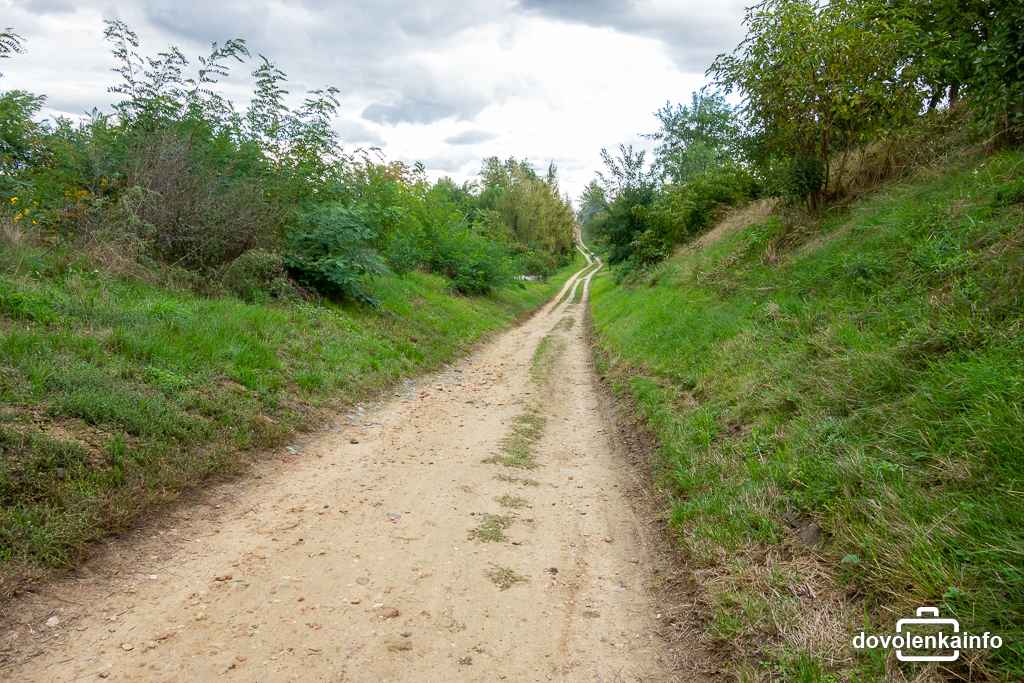 Charakter cyklotrasy za Valticami v smere k Dianinmu chrámu Rendez-vous.